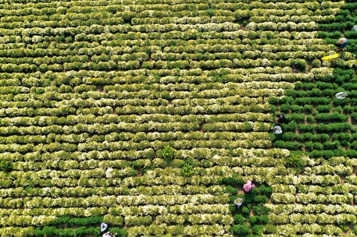 10 - 復(fù)件(4)_副本 10 - 復(fù)件(4)_副本