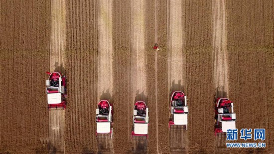 11736369635125399032 11736369635125399032