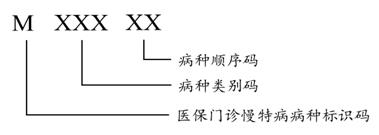 圖8醫(yī)保門診慢特病病種編碼結(jié)構(gòu) 圖8醫(yī)保門診慢特病病種編碼結(jié)構(gòu)