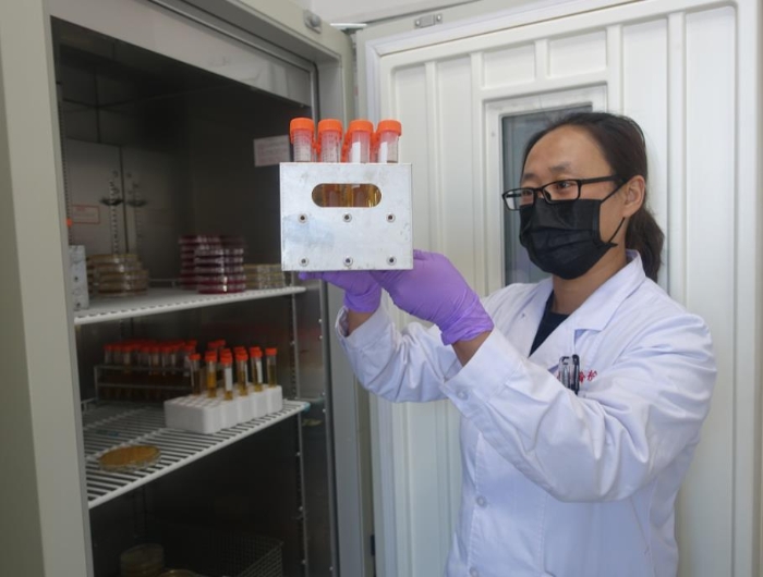 高瑞霞正在實驗室觀察防護(hù)服滅菌用生物指示劑的檢驗結(jié)果。記者 楊燕攝