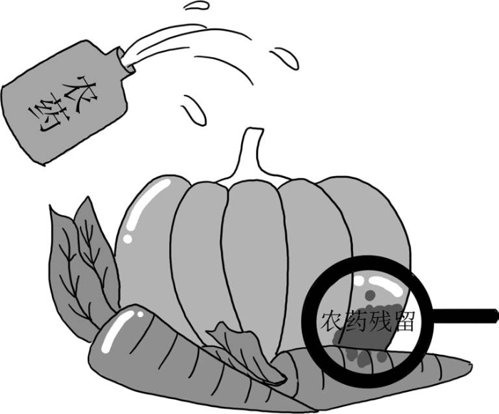 食品安全法 食品安全法