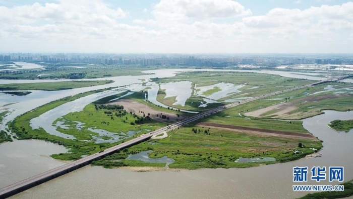 這是6月18日拍攝的黑龍江太陽島國家濕地公園局部（無人機照片）。新華社記者王建威攝