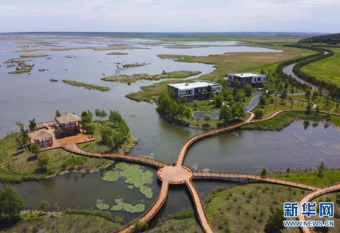這是6月12日拍攝的富錦國家濕地公園（無人機照片）。新華社發(fā)（張濤 攝）