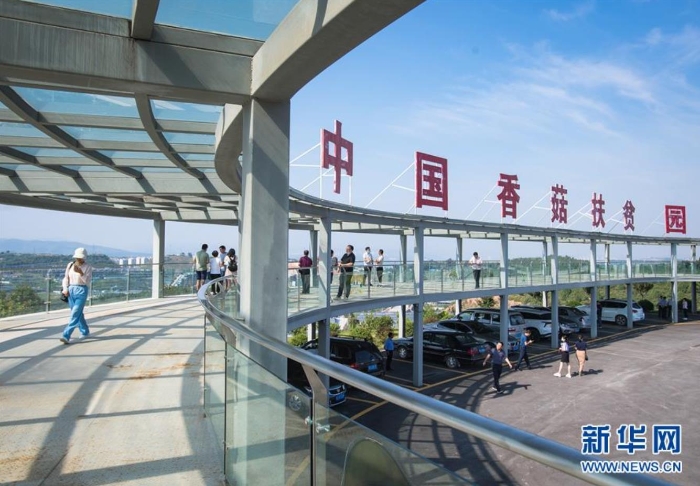 湖北省十堰市鄖陽區(qū)青龍泉社區(qū)香菇產(chǎn)業(yè)基地（8月28日攝）。新華社記者 肖藝九 攝