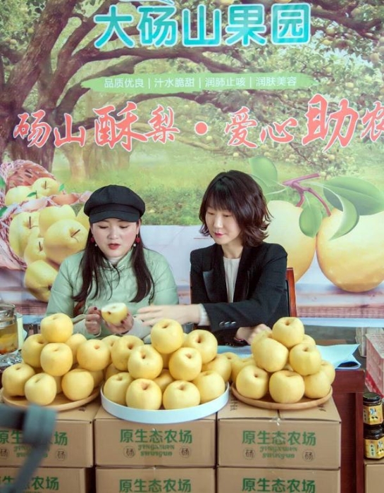 安徽碭山：特色產(chǎn)業(yè)搭“快車”，“電商扶貧”再升級