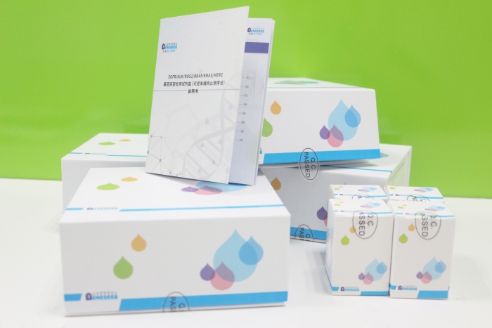 南京世和-EGFRALKROS1BRAFKRASHER2基因突變檢測試劑盒1