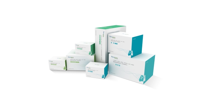 人EGFR、KRAS、BRAF、PIK3CA、ALK、ROS1基因突變檢測(cè)試劑盒（半導(dǎo)體測(cè)序法）1