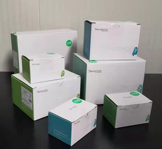 人EGFR、KRAS、BRAF、PIK3CA、ALK、ROS1基因突變檢測(cè)試劑盒（半導(dǎo)體測(cè)序法）2