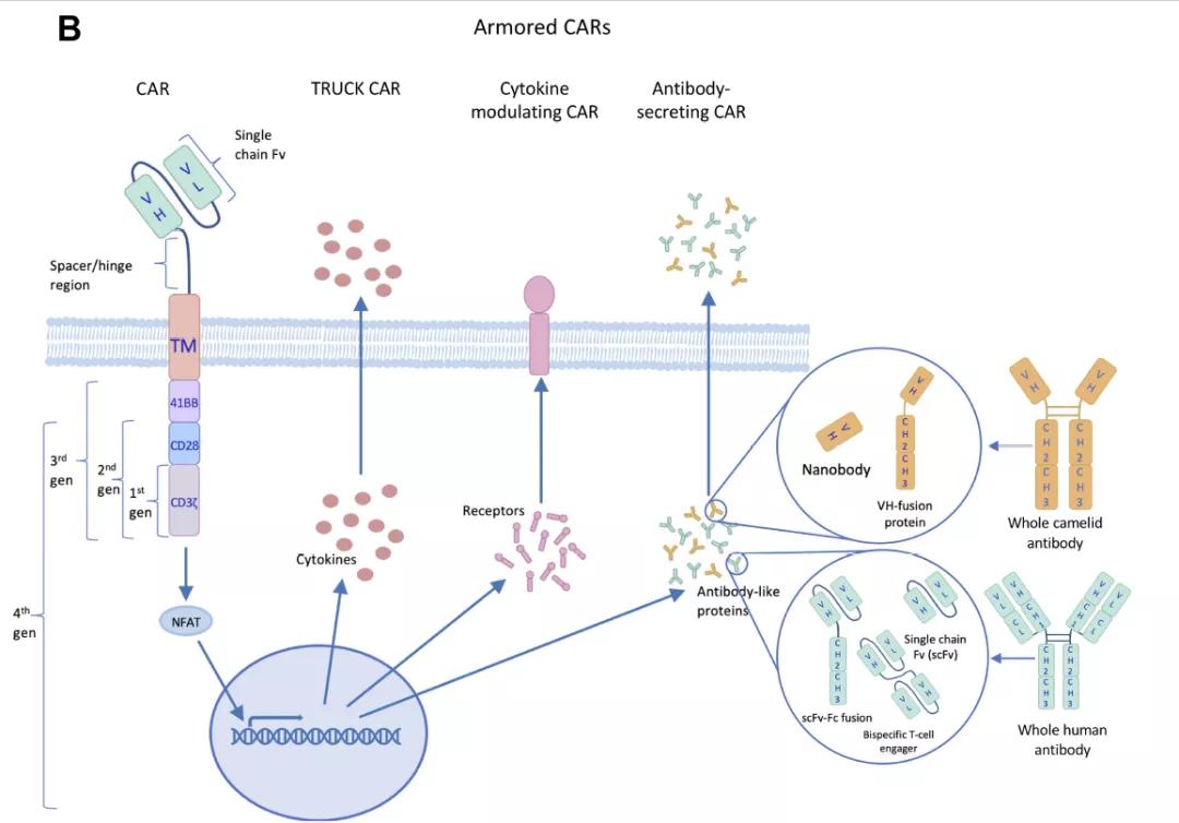 “武裝”CAR-T療法的多種策略（圖片來(lái)源：參考資料[3]）