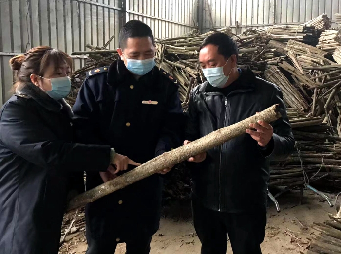 圖為工作人員在農(nóng)民專業(yè)合作社了解中藥材采收情況。