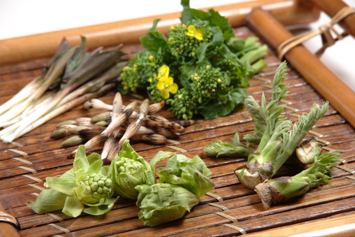 QJ6265708061 QJ6265708061