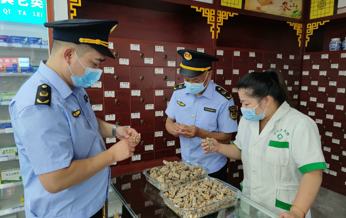 圖為該局執(zhí)法人員在一家零售藥店檢查田七質(zhì)量。