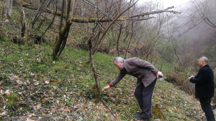 湖北省十堰市竹溪縣-湖北盤(pán)龍國(guó)瑞醫(yī)藥有限公司-夏賦文工作照 (2) 湖北省十堰市竹溪縣-湖北盤(pán)龍國(guó)瑞醫(yī)藥有限公司-夏賦文工作照 (2)