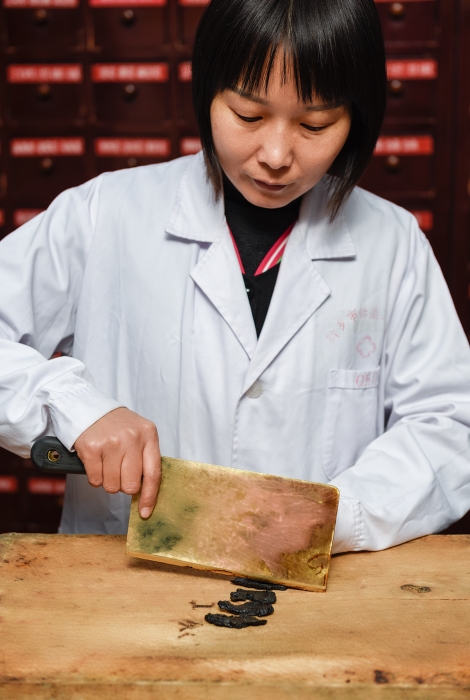 謝文娟工作照 謝文娟工作照