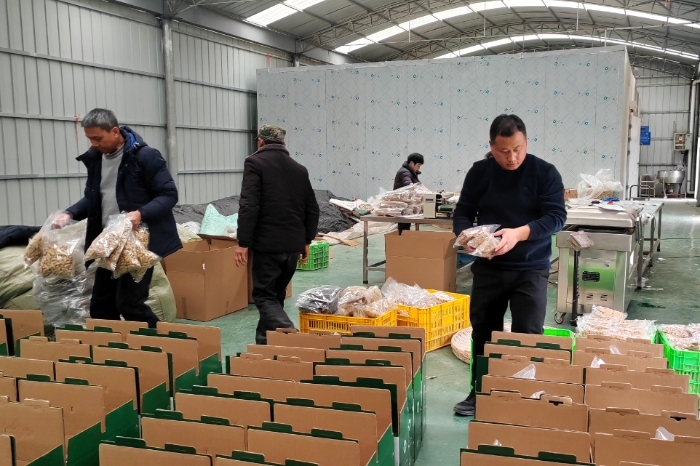 石泉縣兩河鎮(zhèn)中心村集體經(jīng)濟(jì)加工廠房內(nèi)劉玉棟（右一）和村民一起按照“消費(fèi)幫扶”訂單將特色農(nóng)產(chǎn)品封裝成新春“年貨”。（賀一辰攝）