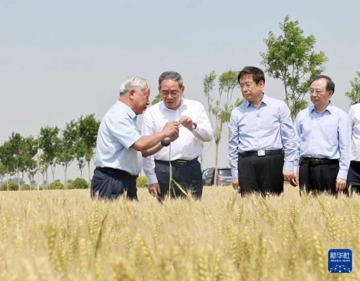 5月22日至23日，中共中央政治局常委、國(guó)務(wù)院總理李強(qiáng)在河南調(diào)研。這是5月23日，李強(qiáng)在新鄉(xiāng)市平原示范區(qū)高標(biāo)準(zhǔn)農(nóng)田調(diào)研。新華社記者 王曄 攝