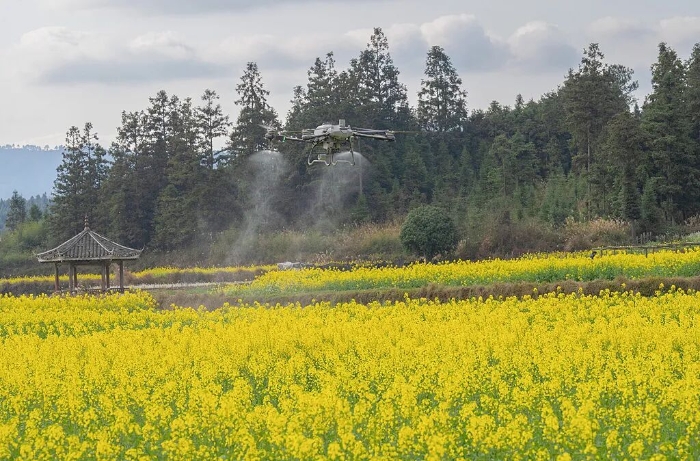 新一輪千億斤糧食產(chǎn)能提升行動
